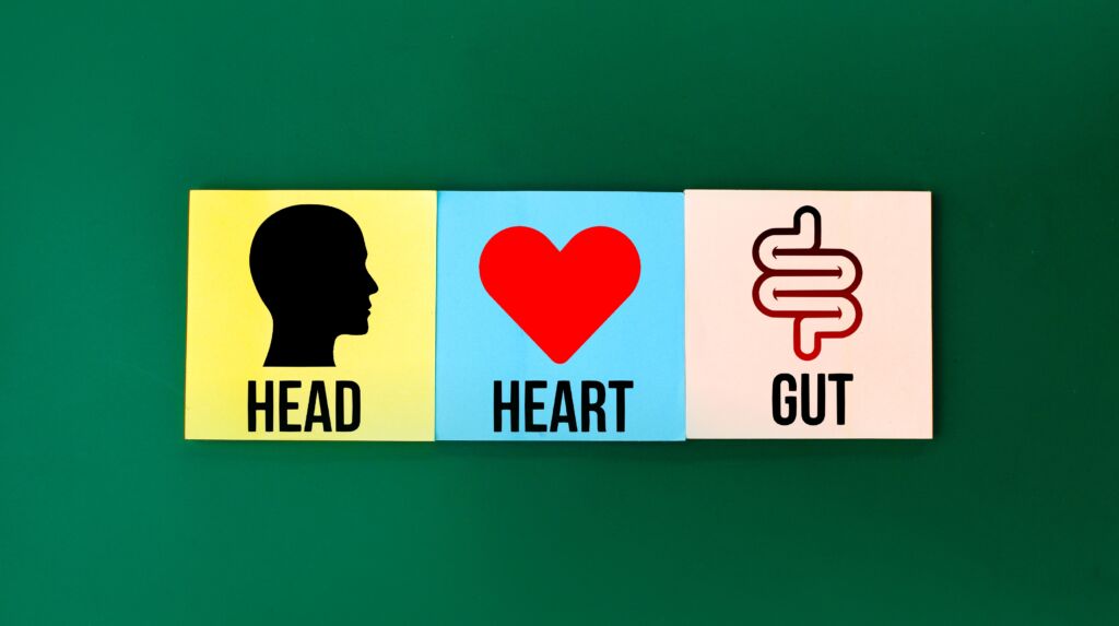 Head – Heart – Gut